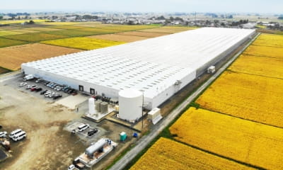 美里グリーンベース 教育旅行の様子