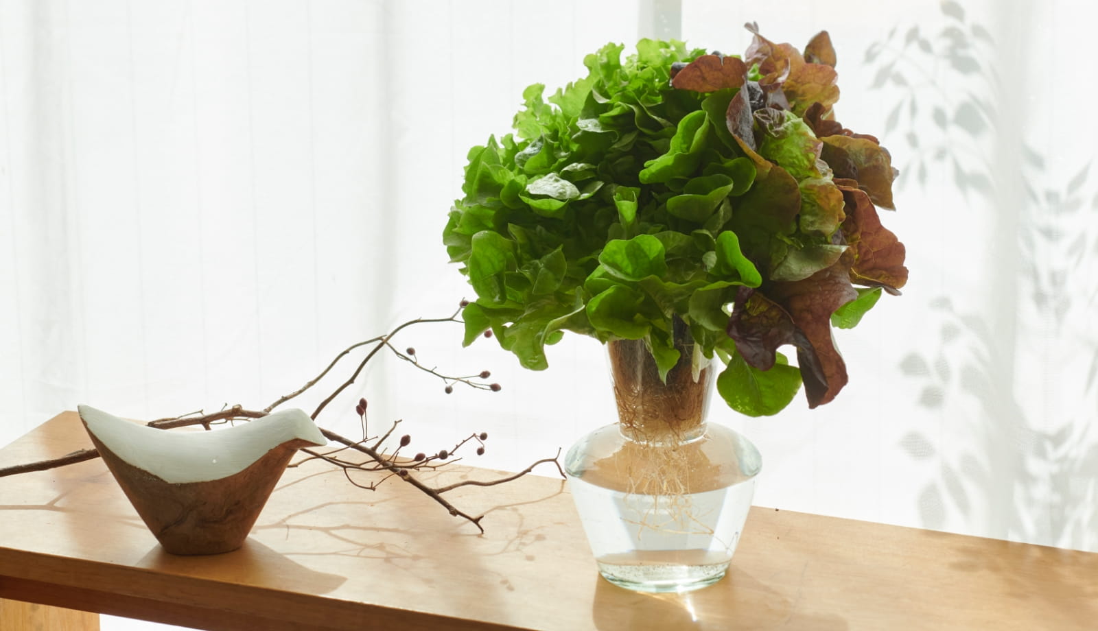 Just put them in a glass of water and turn your kitchen into a vegetable garden.<br>You can have a fresh salad in no time!