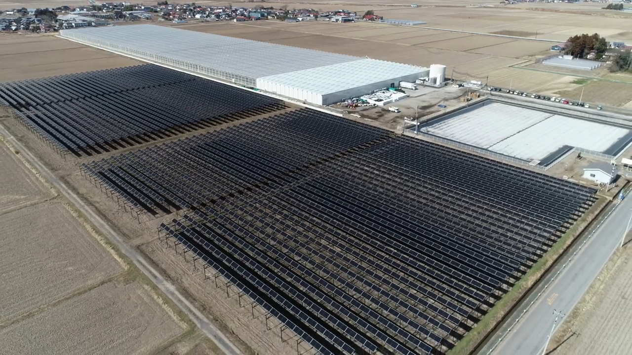 舞台ファーム美里町営農型太陽光発電所