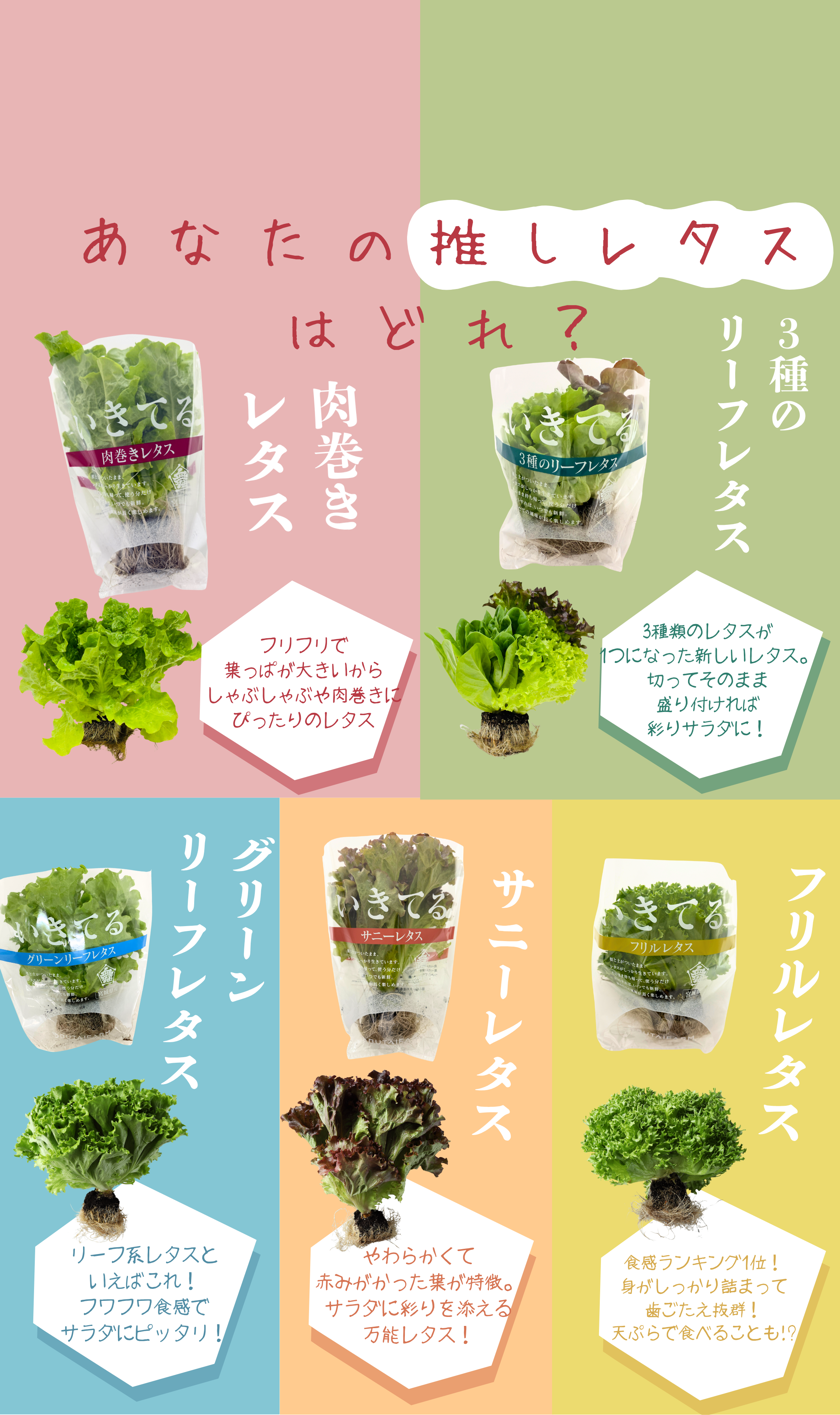 舞台ファーム 新ブランド商品